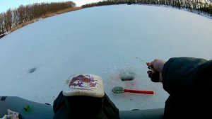 Зимний карась на поплавок.