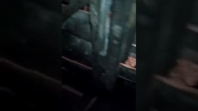 Первое яйцо курицы