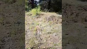участок в с. Бобровка алтайский край