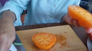 Томат не требующий ухода! Сорт Девушка из Локстона- Вычурновой. Лучший сорт сезона