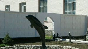 Черный Дельфин на гитаре 🔥🔥🔥