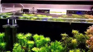 Светильник для аквариума