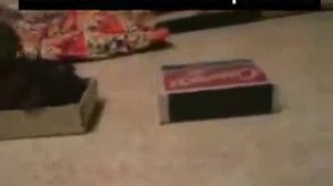 Самый лёгкий способ сделать дымовую гранату