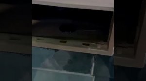Оригинальный туалет🚻🚾🚽