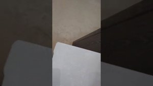 Торец Лестничного марша и лестница из Ламината.