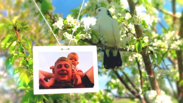 Алиса Молчанова "Папа" смотреть онлайн