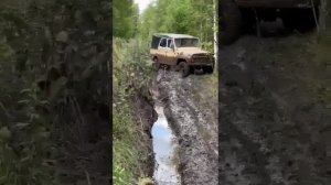 Off-road по лесу. УАЗ 469. УАЗ 452. На бездорожье