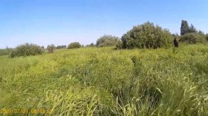 Рыбалка на бредень