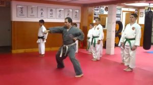 ДЗЕСИНМОН СЁРИН РЮ !!!  ХАППО НО КАТА  УРА САНДАН . Jyoshinmon Shorin Ryu Happonakata Ura Sandan