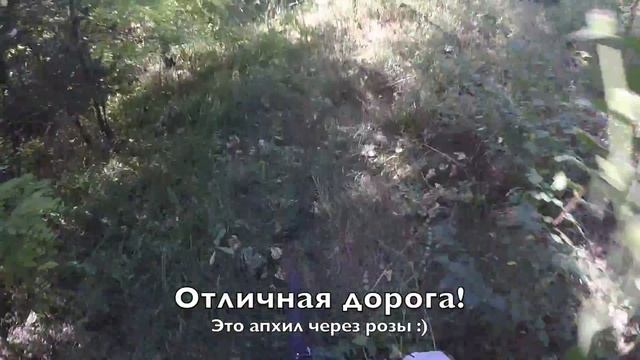 Samara Hell смотреть онлайн