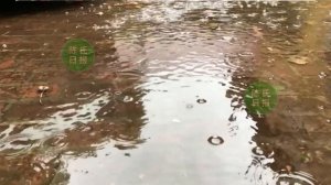 【陈氏日报9月25日】#肖战 新剧战报公布，豪取48连冠。#王一博 亚运会无处不在，为霹雳舞助力，主题曲成为舞蹈挑战曲。“甜妹儿”#赵露思：有标签不是坏事？#xiaozhan #wangyibo