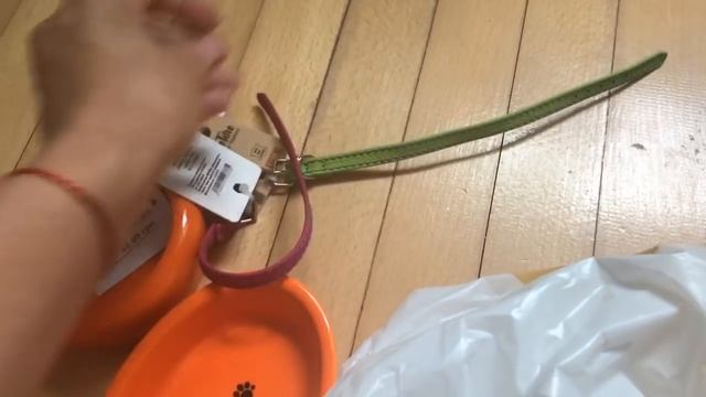 DogVlog: Покупки для щенков. Щенки пробуют творог. Щенки йорка смотреть онлайн