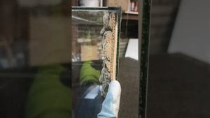 Приклеиваю пробковый фон в террариум из стекла на силикон