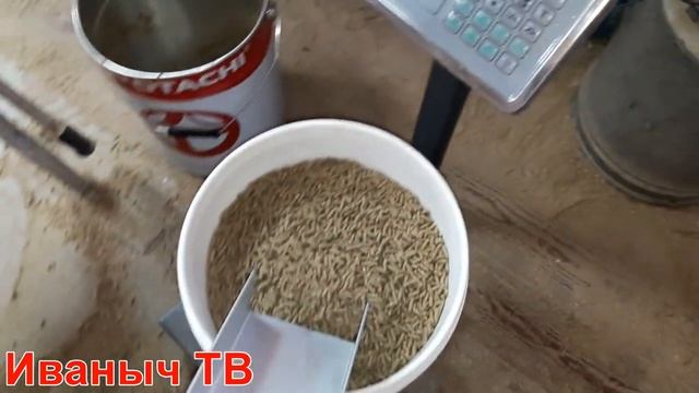 Гранулятор. Изготовление гранул. Комбикорм для кроликов и кур