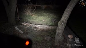 Яркий луч GRYPHON G18 ? 1200 Lumen нейтрально теплый EDC свет (4000К, USB)