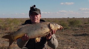 Сазан продолжает клевать на жмых. Ловля сазана на жмых в Астрахани, в октябре.