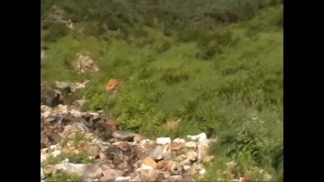 Хамар Дабан 2006 часть 2 август смотреть онлайн