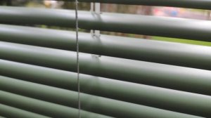 Горизонтальные жалюзи Венус, 25 мм, алюминий, зеленый цвет, с направляющей леской  От компании СВИЛ