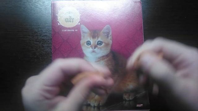 Мышка из лёгкого пластилина смотреть онлайн