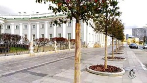 Как пройти от метро Сухаревская до отеля Сухаревский