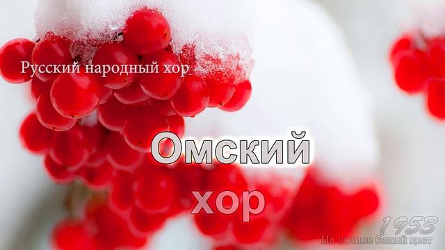 Омский хор - На калине белый цвет