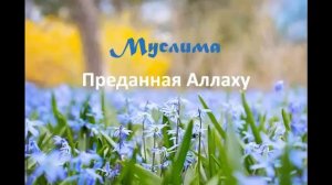 Мусульманские красивые имена для девочек