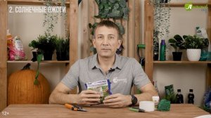 Как защитить деревья зимой от подмерзания ожогов и грызунов? Лечение морозобоин на деревьях