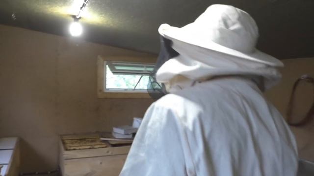 Стартер для вывода маток . Смотрим и задаём вопросы 27.04.2019 смотреть онлайн