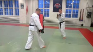 Hokutoryu Ju-jutsu Knee kick practice