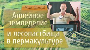 Аллейное земледелие и лесопастбища в пермакультуре! Марк Шепард