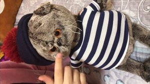 Кот Басик обзор Распаковка игрушек Basik Toy Что подарить ребенку?