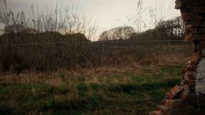 Cartoon Cat, Cartoon Rat & Cartoon Dog got me...