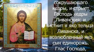 ПОТРАТЬ 1 МИНУТУ! ИЗБАВЬСЯ ОТ БОЛЕЗНЕЙ И ВЕРНИ ЗДОРОВЬЕ СЕЙЧАС! Вечерняя молитва Господу Богу