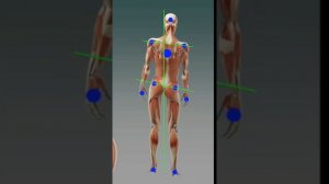 Косой таз и разная длина ног как исправить