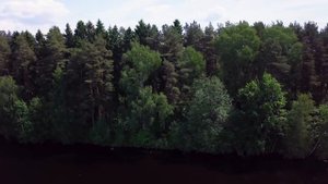 Ногинск. Луковое озеро.