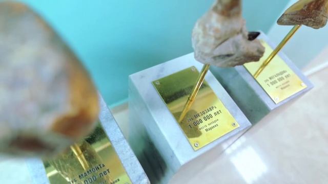 Цифровая стоматология Dominanta Clinic