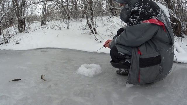 Вся рыба под берегом. Голавль на безмотылку. смотреть онлайн