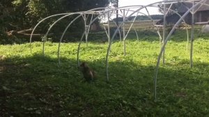 Дешевая большая  Теплица своими руками