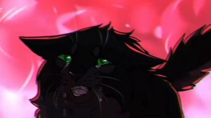 НЕЛОГИЧНЫЕ ВЕЩИ В КВ - КОТЫ-ВОИТЕЛИ