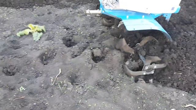 Фрезеровка почвы мотоблоком весной под картошку.