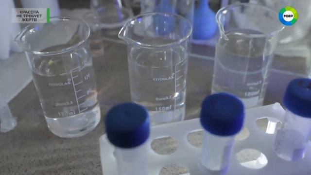 ГДЕ ВЗЯТЬ ЧИСТУЮ ВОДУ? смотреть онлайн