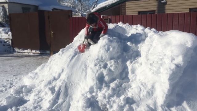 Зима.Играем в снегу.Шашлык.Едем в лес. смотреть онлайн