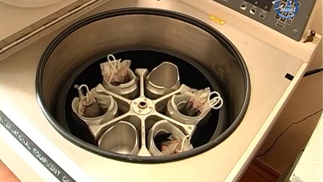 «Саммит+ТВ»: Медработники Полотчины приняли участие в акции по безвозмездной сдаче крови смотреть онлайн