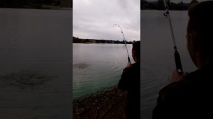 Только закинул и сразу эта тварь...Как ловить карпа на макушатник! Секреты рыболова! Карп 3кг