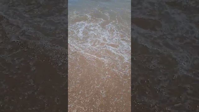 Пена морская. Выходим из воды. Купание запрещено. Чёрное море.🌊