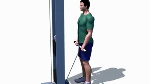 Правильное выполнение - Сгибание рук обратным хватом (трос) смотреть онлайн