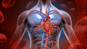 Что Магний Творит с Вашим Сердцем