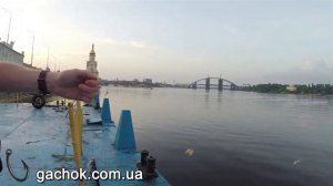 Чехонь на сбирулино (бомбарду)