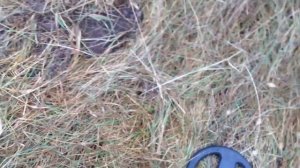 Х-Терра 705.Ошибается ли пинпойнт в идентификации цели?/X-Terra 705. Is the pinpoint knocked out?