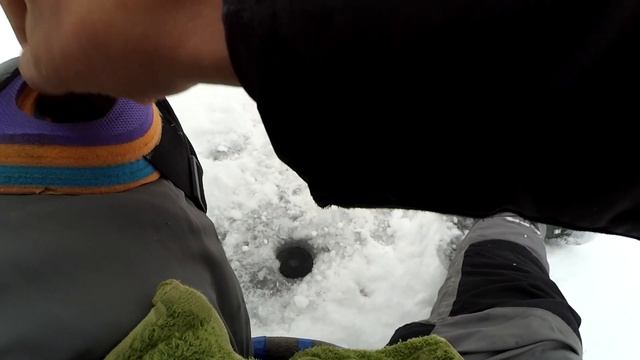 СУПЕР УЛОВ. Попал на РАЗДАЧУ. Как ловить МНОГО ПЛОТВЫ на мормышку. Рыбалка 2020. смотреть онлайн